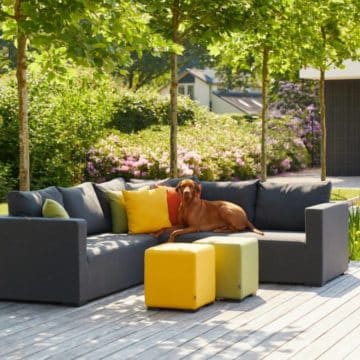 Puf ALEX Rojo Hartman no se ve en la imagen, aparece un perro sobre un sofá gris y dos puf delante en verde y amarillo