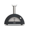 MODERN OVEN 2 Pizzas Fireplace view front on white background