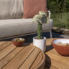 FINN coffee table set by 4 Seasons Outdoor. Two very eye-catching tables, made entirely of teak. The Ø80cm table has a height of 30cm and the Ø60cm table has a height of 35cm, both with three round legs. Detail of the tabletops with the DALIAS garden sofa and intense green plants visible behind.