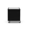 Coooking Station 80 from Alfa Forni Find it at your expert for outdoor furniture: De Tropen - and at the best price!
