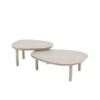 Set Mesas centro Monroe de Taste 4 Seasons Outdoor. Encuéntralo en la mayor tienda de muebles de exterior, terraza y jardín: De Tropen ¡y al mejor precio!