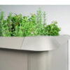 Protección de babosas y caracoles para huerto urbano elevado de Biohort. Foto ambiente, se ve el borde de protección en plata instalado en un huerto del mismo color del que sobresalen hierbas aromáticas. Encuéntralo en De Tropen, la mayor tienda de muebles de exterior de Málaga.